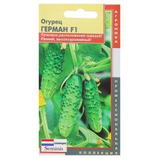 Cucumber seeds 