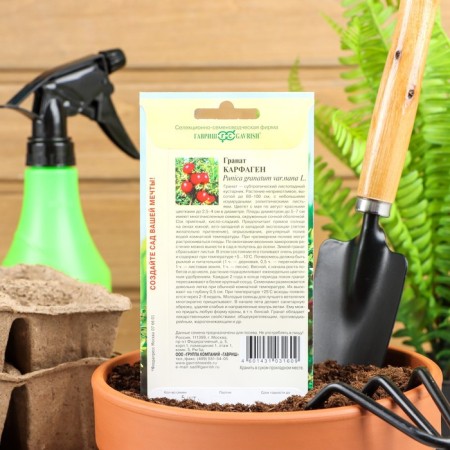 Seeds of indoor flower grenades "Carthage", 5 pcs.-1
