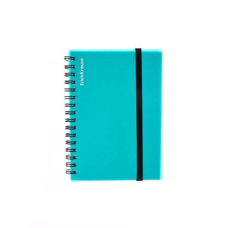 Notebook A6 (120 x 146 mm), 80 sheets in a cage on the crest Erichkrause "Ice Metallic", plastic cover, elastic band, offset unit, white 100%, mix-15