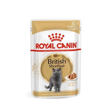 Wet RC food for British cats, sauce, spider, 85 g