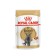 Wet RC food for British cats, sauce, spider, 85 g