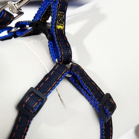 Kit "jeans", leash 120 x 1 cm, og 25-40 cm, blue-4