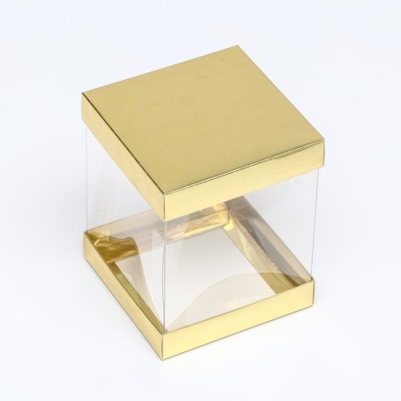 Box with PVC mini 10 x 10 x 12 cm "Gold"-1