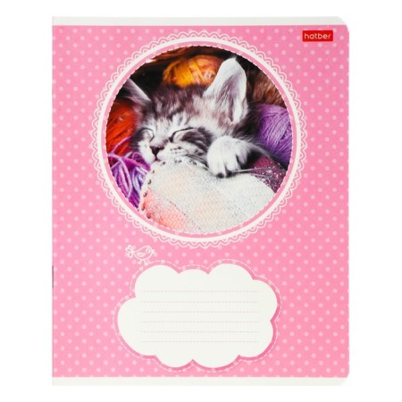Notebook 18 sheets in the Kitty line, mix-4