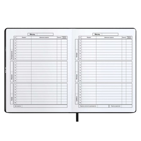School diary for grades 1-11, solid cover, artificial leather, software, silkography, keychain, lies, 48 ​​sheets, universal cheat sheet, block 80g/m2, black-7