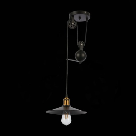 Suspension EVOLUCE. Sle120503-01. ESPERAZZA. 1x60 W, E27, 30x30x50 cm, black color-3