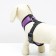 Soft hollow made of neoprene, size S, Osh 24 cm, fire 24-34 cm, purple