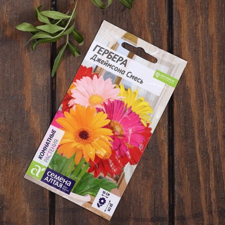 Set of indoor flowers "Hit Sales"-10