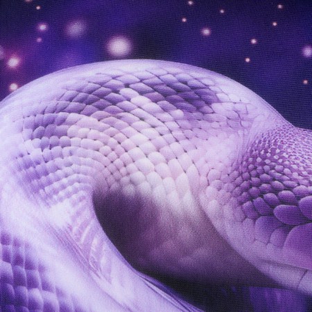 New Year. Decorative anti -stress pillow "Snake", purple-4