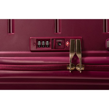 Supra STS-1004, L, up to 32 kg, red wine-5