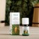 Essential oil "Pine" 10 ml oleos