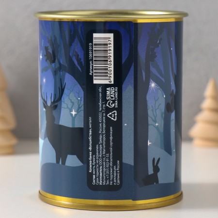 Pigger Bank Metal "Magic"-3