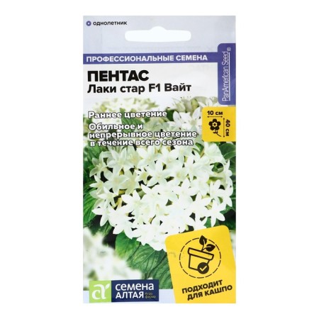 Pentas flowers "Lucky Star" F1 is lanceolate, c/p, 3 pcs.