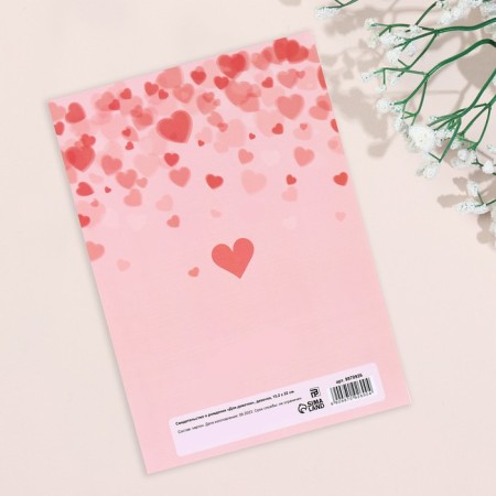 Folder for birth certificate "for a girl" Girl, A5-1