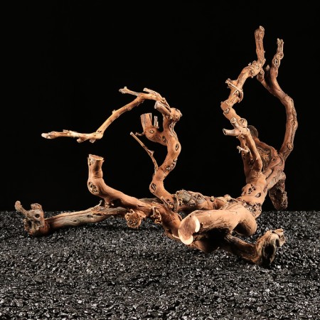Drunk for the Aquarium "Vine Ginograd", 60 - 70 cm-2