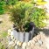 Fencing for the flowerbed, 110 × 24 cm, galvanized, "wave", Greengo