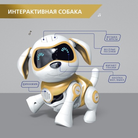 Robot dog “Chappi” IQ Bot, interactive: sensory, light, sound, musical, dancing, on the battery, in Russian, gold-4