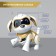 Robot dog “Chappi” IQ Bot, interactive: sensory, light, sound, musical, dancing, on the battery, in Russian, gold
