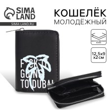 Youth wallet 