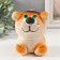 Growing gift Eco -Levik "King Leo" mix