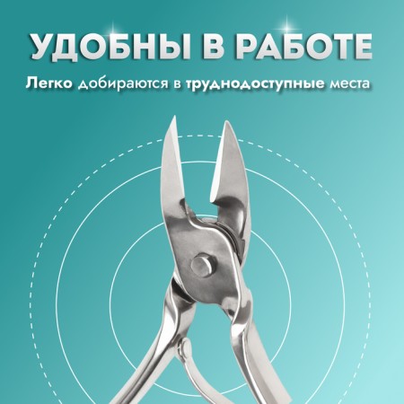 Pigitan nippers, straight blade, 9.5 cm, blade length - 10 mm, silver color-3