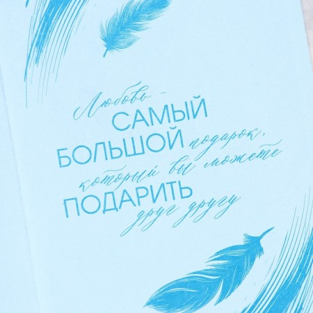 Wedding invitation: with an envelope "Tenderness", 10 x 15 cm-14