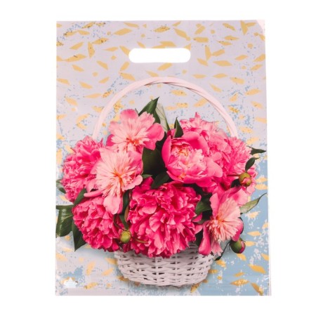Pione Basket package, polyethylene with a cut pen, 31x40 cm, 60 μm