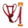 The stolen set "Militari", leash 120 x 1 cm, OG 23-35 cm, red