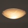 The lamp is wall-flowing "circuit" 2 lamps E27 60W 30 cm.