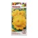 Semen Patisson "Sun", 1 g