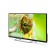 TV POLARLINE 40PL51TC 40 ", 1920x1080, DVB-T2/T/C, 3XHDMI, 2XUSB, black