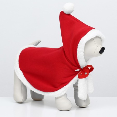 Costume "New Year's fairy tale", s (ds 24, og up to 55 cm)-1