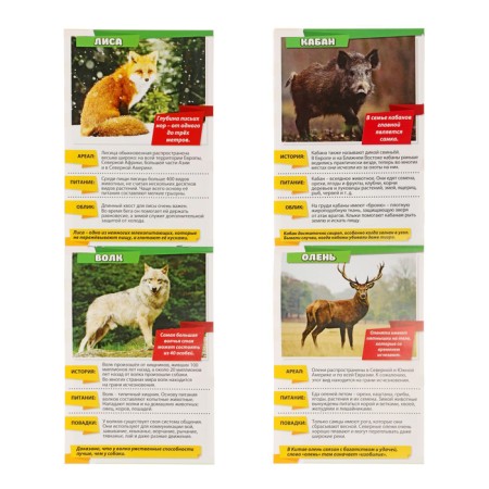 Mini-encyclopedias “We will learn about everything around. Living nature ”, 8 pcs. 20 p.-1