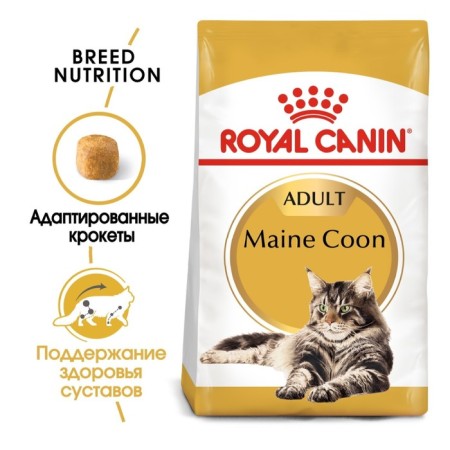 Dry food RC Main Coon for large cats, 2 kg-1