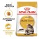 Dry food RC Main Coon for large cats, 2 kg