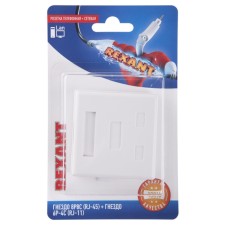 Розетка телефонная + сетевая LAN, на стену, (гнездо 8Р8С (RJ-45) + гнездо 6Р4С (RJ-11)) REXANT   108