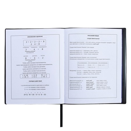 Universal Diary Grade 1-11, 48 sheets "Urban", a soft cover of PVC, embossing with foil, pocket, liesa, an offset unit-11