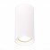 Ceiling lamp ST LUCE. ST155.502.01. 1x50 W, GU10, 7x7x14 cm, white color