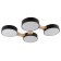 Piartti chandelier 4LED 96W 3000-6000K Black 65x48x5 cm Bayerlux