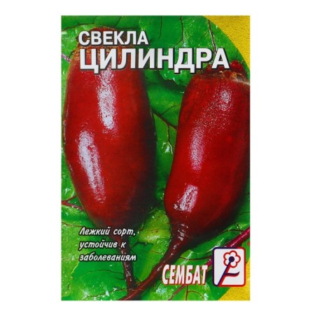 Cylinder beets seeds, 1 g-2