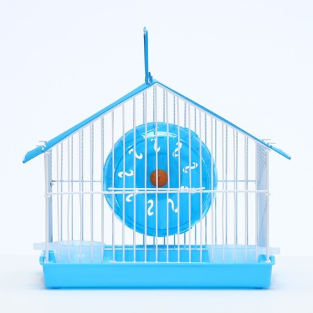 Rodent cell equipped RT-2T, 22 x 16 x 20 cm, blue-1