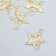 Decor for creativity Metal, enamel "Star with Rainbow" Gold Mix 2x2.4 cm