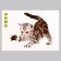 Stick 3D interior cat 29*21cm