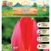Tulip Parade, river 12/+, 5pcs, autumn 2024