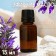 Essential oil "Sage" 15 ml, for your brand and design