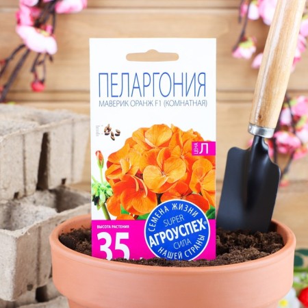 Seeds of indoor flowers Pelargonium "Orange", 4 pcs.