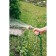 Watering nozzle, 1/2 "(12 mm), 3/4" (19 mm), 5/8 "(16 mm), PP -plastic, Greengo