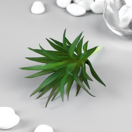 Artificial succulent for creating the Florarium "Troundhole Gasteria" 7 cm