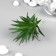 Artificial succulent for creating the Florarium "Troundhole Gasteria" 7 cm