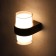 Facade lamp "Double Grand", FSD-081, 10 W, 3000K, IP65, 220 V, Metal, Black